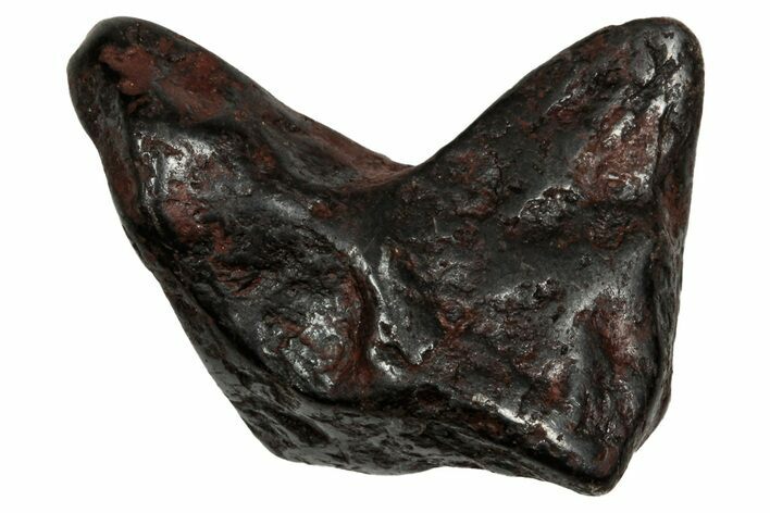 Canyon Diablo Iron Meteorite ( g) - Arizona #336021